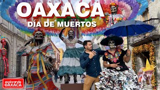 La Ciudad de Oaxaca luce ESPECTACULAR para el Día de Muertos 2024 [upl. by Ahsinert]