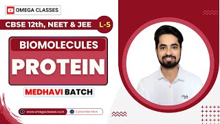 PROTEIN  AMINO ACID  BIOMOLECULES  BIOLOGY CLASS 11  CBSE NEET  OMEGA CLASSES [upl. by Glenine]