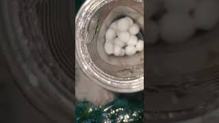 Some MothBalls Mix With Powder🤍⚪️🤍 mothball satisfying mothballs powderplay [upl. by Aydidey134]