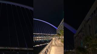 Tolerance Bridge  Footbridge Archway  Dubai Water Canal  shortsvideo touristattraction [upl. by Erasaec]