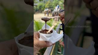 MustTry Melted Chocolate in Thekkady A Sweet Adventure [upl. by Nessie873]