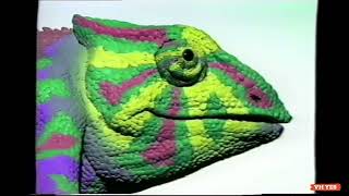 BASF Video Cassettes  Fantastic Colours  Australian TV Commercial 1994 [upl. by Floyd]