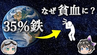 【ゆっくり解説】鉄だらけのこの星でなぜ人類は鉄分不足に悩まされなければならないのか？ [upl. by Llenrod884]