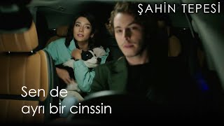 Şahin Tepesi 3Bölüm  En Etkili Sahneler 1 [upl. by Cathleen]