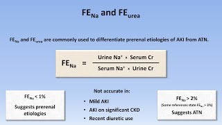 Acute Kidney Injury Part 23  Diagnostic Evaluation [upl. by Aicetal]