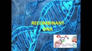 BIO 220 Chapter 8  Microbial Genetics for Recombinant DNA [upl. by Crelin]