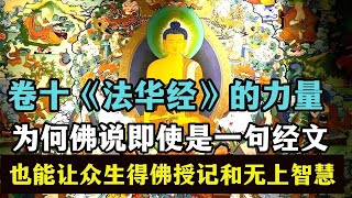 卷十《法华经》的力量：为何佛说即使是一句经文，也能让众生得佛授记和无上智慧？ [upl. by Aliakim]