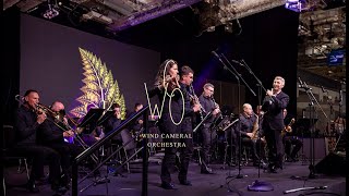 Koncert Noworoczny 2024  Wind Cameral Orchestra [upl. by Redd541]