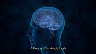 10 Fascinating Facts About How Human Memory Works The Science Behind Recalling the Past science [upl. by Hakaber]