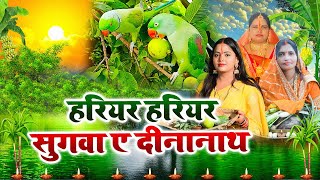 छठ पूजा गीत  हरियर हरियर सुगवा ए दीनानाथSunita lokgeet Chhath Puja Geet [upl. by Saihttam]