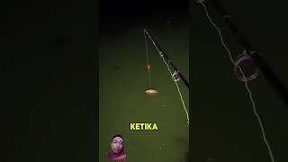 Mancing ikan mandiri fishing memancing mancing ajokoyen short shorts [upl. by Ranit606]