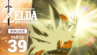 Soluce Breath of the Wild – Étape 39  Les Souvenirs [upl. by Sumahs]