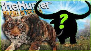 We Found A Pseudo Melanistic Tiger And Had NO MONEY To Tax It [upl. by Moselle410]