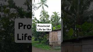 Farm lot for sale Indang Cavite cavite indangcavite [upl. by Poirer]