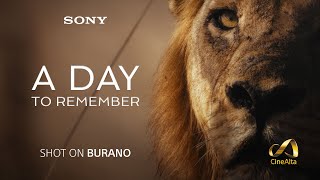 A Day To Remember  a Sony BURANO film  4K HDR [upl. by Riancho]