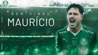 MAURÍCIO O NOVO REFORÇO DO PALMEIRAS [upl. by Elfie36]