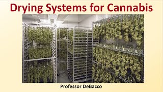 Drying Systems for Cannabis [upl. by Marilou]