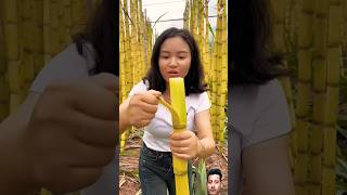 Kitna Fresh fruits🍍🍎🍓🍇hai😍😍😍reels comedy trending funny viralvideo shorts youtubeshorts [upl. by Ryhpez]