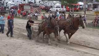 Horse Pull Competition Full Pulls 7000 and 7500 pounds Port Perry Fair 2014 [upl. by Inerney]