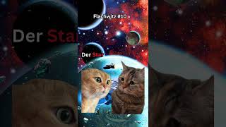 Katzen Memes Welcher Vogel hat Darth Vader auf den Kopf geschissen katzenmemes flachwitze [upl. by Elissa]