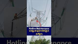 Live Line Maintenance  Hotline Techniquemaheshelectric8882Maheshelectricks [upl. by Forlini]