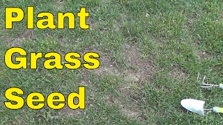 How To Plant Grass SeedFULL Tutorial [upl. by Aisirtap]