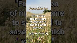 Discover the Most Uplifting Bible Verse of the Day for 19112024 [upl. by Desdemona]