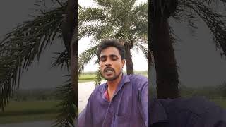 আর হবেনা দেখারে বন্ধু  youtube viral gan song officialrazibulsong banglagan love [upl. by Jocelyn205]