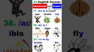 44 English Sounds 4  8 Diphthongs [upl. by Chemush]