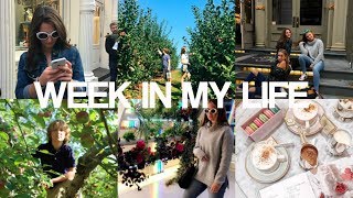 Fall Weekend in My Life  New York City Apple Picking and More [upl. by Einnil]