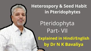 Heterospory and Seed Habit in Pteridophytes [upl. by Archibald]