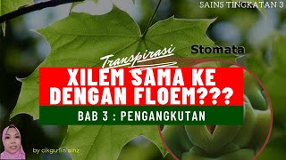 SAINS TINGKATAN 3  Tajuk 3  Sistem Pengangkutan dalam Tumbuhan [upl. by Baniez]