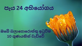 ඔබේ බලාපොරොත්තු ඉක්මනින් ඉටු කර ගැනීමට මෙම පැය 24 අභියෝගය භාර ගන්න [upl. by Annaliese4]