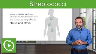 Streptococci – Microbiology  Lecturio [upl. by Isiah]