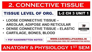 Connective Tissue  L2 Ch 3 Unit 1  Connective Tissue Anatomy And Physiology  Carewell Pharma [upl. by Baggett]