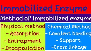 Immobilized Enzyme bio  organic  Msc 3 sem [upl. by Nitnerb183]