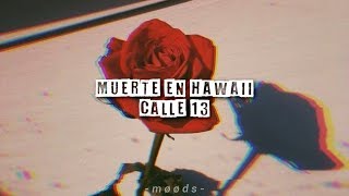 Muerte en Hawaii  Calle 13  Letra [upl. by Ahsetan]