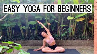 Easy Yoga For Beginners  Gentle Flow  15 Minutes [upl. by Ronn593]