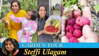 Home Garden Tour in Tamil  Garden Tour  2021 Steffi Ulagam [upl. by Major]