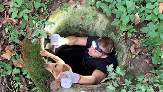 Rescued dog trapped in the sewer thanks to man who found her  Kana’s rescue [upl. by Ymmot]