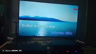 Tsinelas Karaoke Vol 16 Platinum Junior Lite [upl. by Platus729]