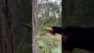 WOW SMART idea and USEFUL in forest camping bushcraft outdoor survival [upl. by Ut412]