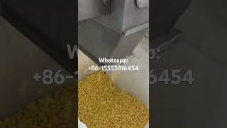 Cheese ball extruder machinerytwin screw extrusion puffed ball plant Jinan dg [upl. by Sternlight]