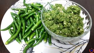 हरी मिर्च को स्टोर करना की विधि Green chilli paste Recipe Gujarati Kitchen [upl. by Maria]