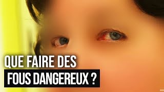 Que faire des fous dangereux [upl. by Changaris863]