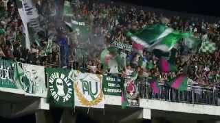 CURVA SUD AVELLINO [upl. by Griffis]