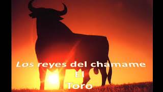 Chamame el toro [upl. by Jurkoic]