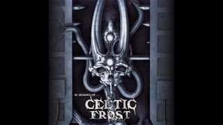 Procreation of the Wicked  Enslaved  In Memory Of Celtic Frost [upl. by Llenna]