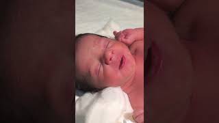 Newborn baby is so cute😌👍 youtubeshorts nursing sumitnicunursingstm newbornbaby cutebaby [upl. by Standing647]