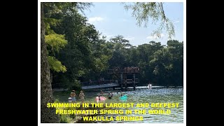 Swimming in the largest and deepest freshwater spring in the world Wakulla Springs [upl. by Abdul181]